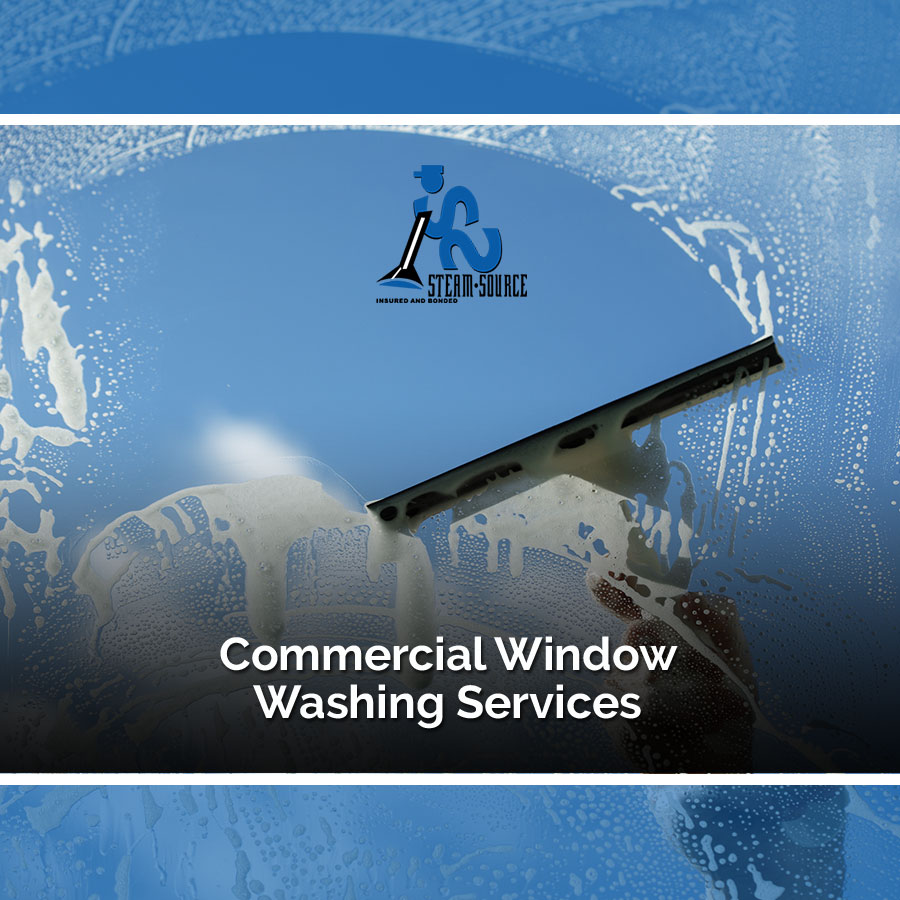 Commercial Window Washing Services