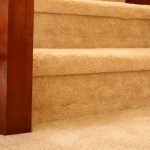 Carpet and Fabric Protection in Winston-Salem, North Carolina