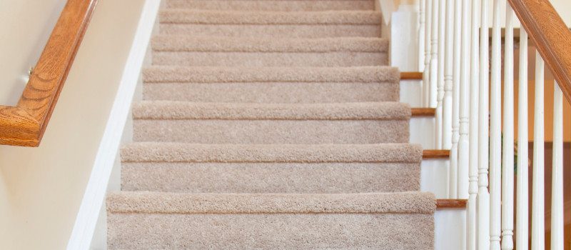 Our 10-Step Carpet Cleaning Process
