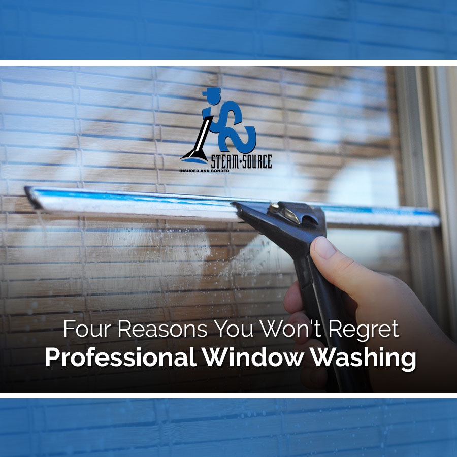 Four Reasons You Won’t Regret Professional Window Washing
