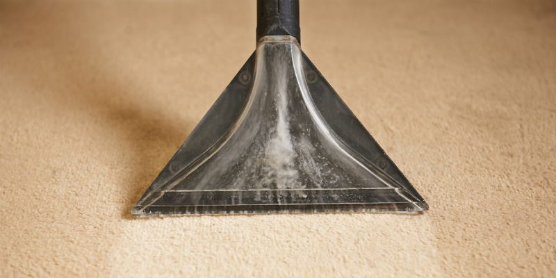 Carpet Steam Cleaning in High Point, North Carolina