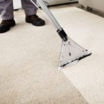 Pet Stain Removal in High Point, North Carolina