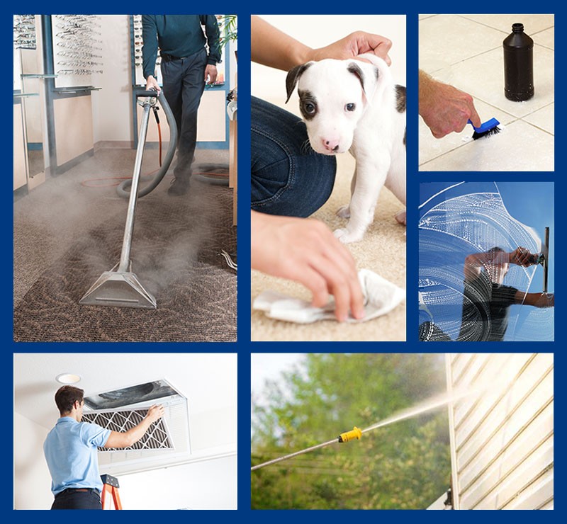 Residential Cleaning Services in Lexington, North Carolina