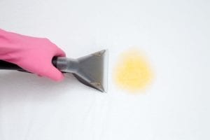 Immediate cleanup is very important for pet stain removal