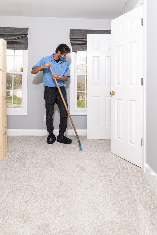 Carpet Cleaning